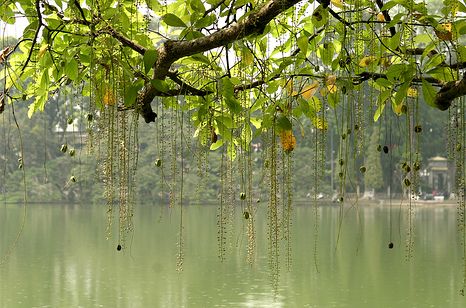 Thanh lịch Hà Nội và văn hiến Việt Nam
