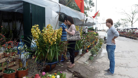 hanoivanhien dat-tam-tang-va-lang-hoa-nghi-tam-xua-news