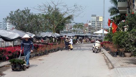 hanoivanhien dat-tam-tang-va-lang-hoa-nghi-tam-xua-news