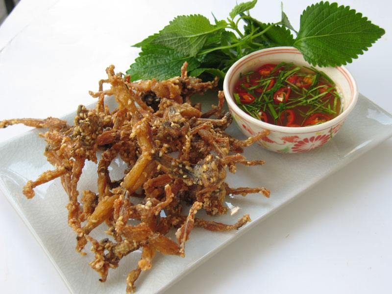 hanoivanhien cha-nhai-lang-khuong-news