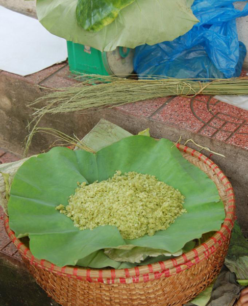 hanoivanhien com-lang-vong-news