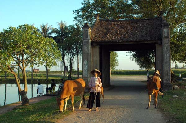 hanoivanhien lang-co-duong-lam-news