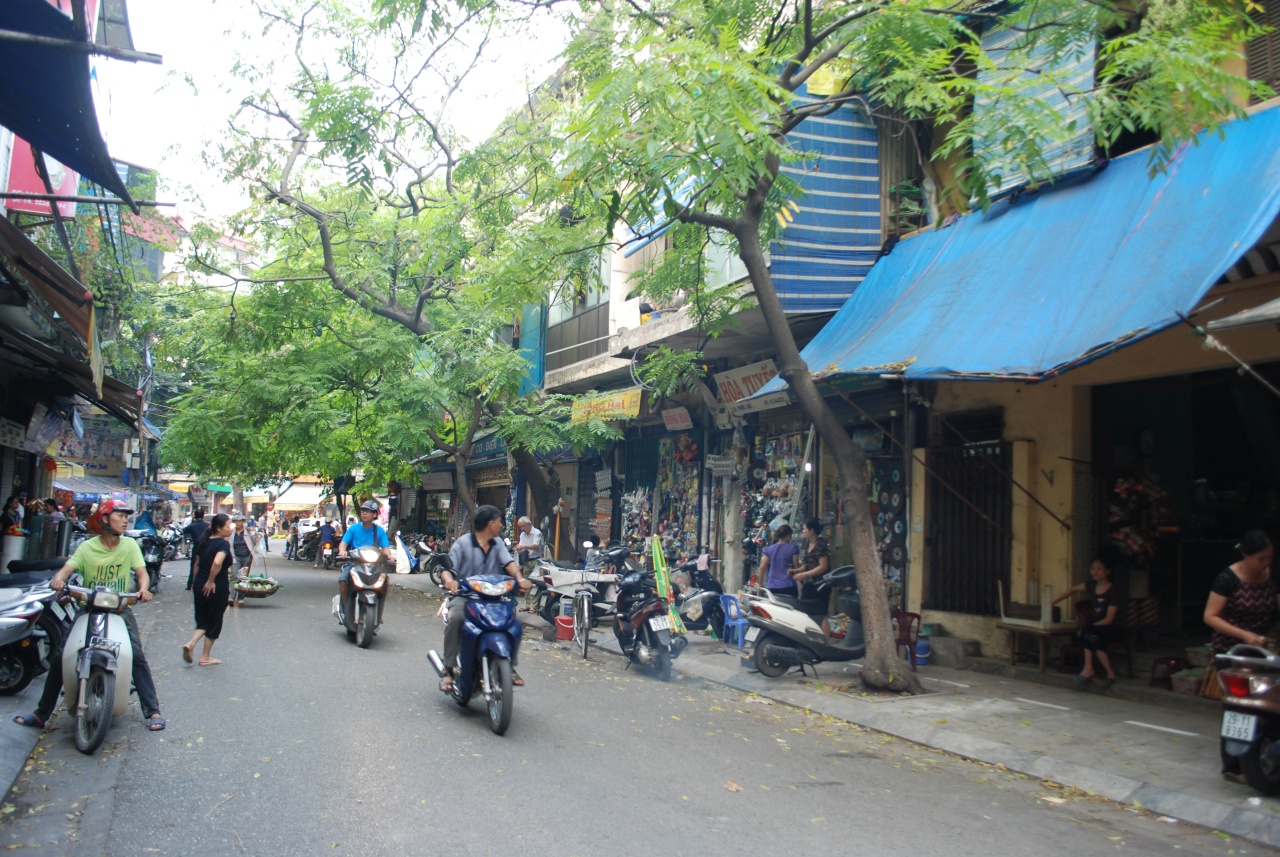 Phố Thuốc Bắc
