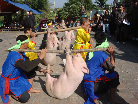 Lễ Hội Chạy Lợn