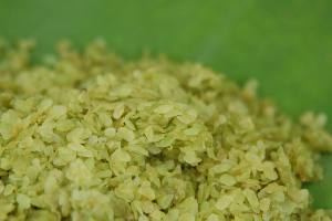 Cốm Làng Vòng